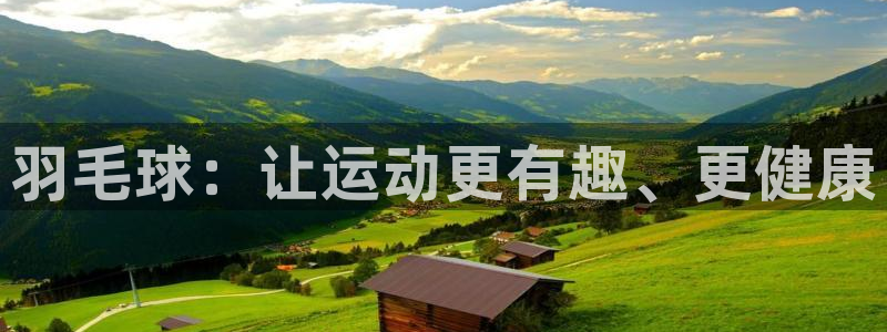 球王会体育：羽毛球：让运动更有趣、更健康