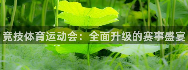 球王会体育：竞技体育运动会：全面升级的赛事盛宴