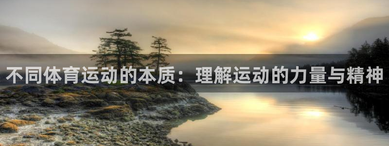 球王会体育：不同体育运动的本质：理解运动的力量与精神