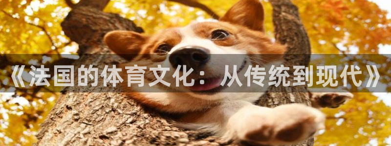 球王会体育：《法国的体育文化：从传统到现代》
