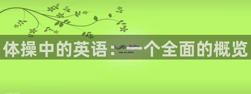 球王会体育：体操中的英语：一个全面的概览