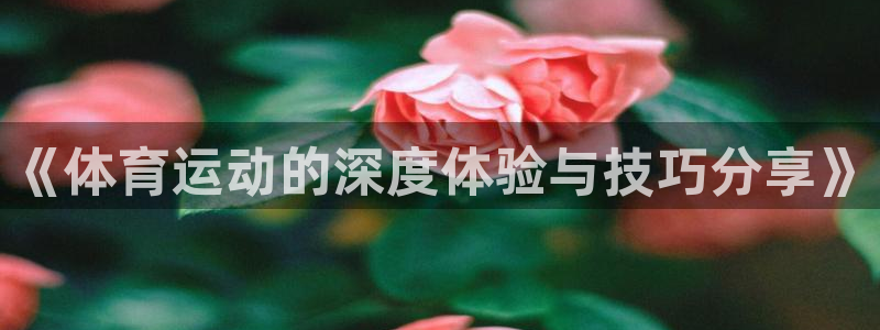 球王会体育：《体育运动的深度体验与技巧分享》