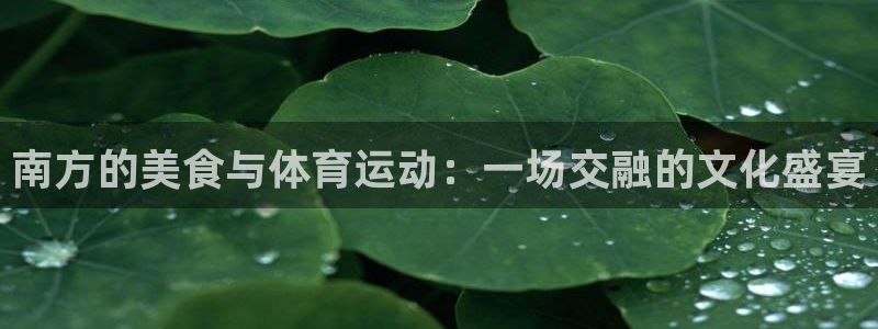 球王会体育：南方的美食与体育运动：一场交融的文化盛宴