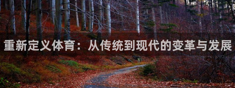 球王会体育：重新定义体育：从传统到现代的变革与发展