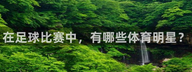 球王会体育：在足球比赛中，有哪些体育明星？