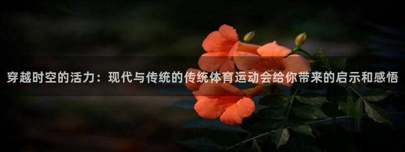 球王会体育：穿越时空的活力：现代与传统的传统体育运动会给你带来的启示和感悟